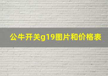 公牛开关g19图片和价格表