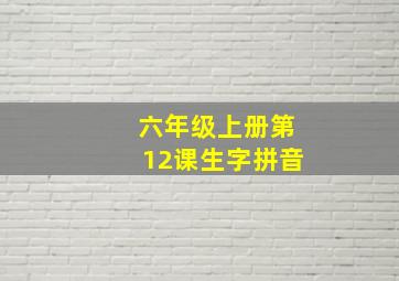 六年级上册第12课生字拼音