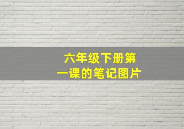 六年级下册第一课的笔记图片