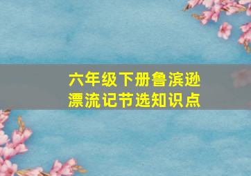 六年级下册鲁滨逊漂流记节选知识点