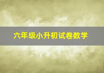 六年级小升初试卷数学