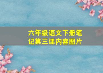 六年级语文下册笔记第三课内容图片