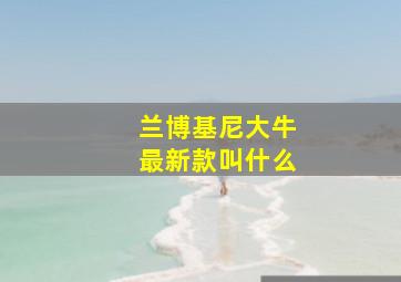 兰博基尼大牛最新款叫什么