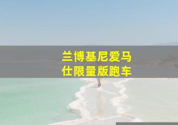 兰博基尼爱马仕限量版跑车