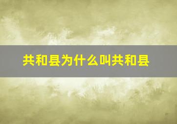 共和县为什么叫共和县