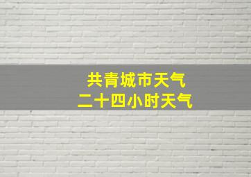 共青城市天气二十四小时天气