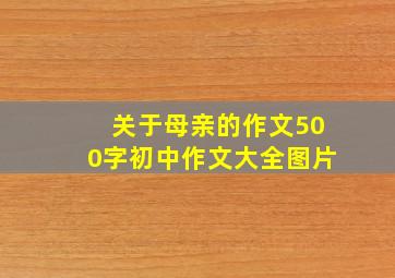 关于母亲的作文500字初中作文大全图片