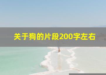 关于狗的片段200字左右