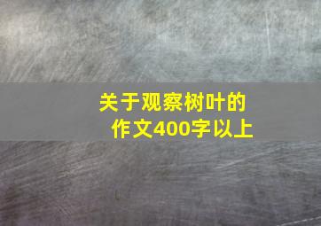 关于观察树叶的作文400字以上