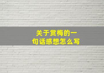 关于赏梅的一句话感想怎么写