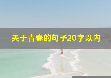 关于青春的句子20字以内