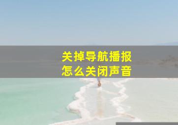 关掉导航播报怎么关闭声音