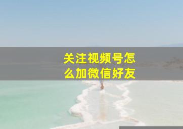 关注视频号怎么加微信好友