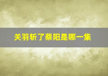 关羽斩了蔡阳是哪一集