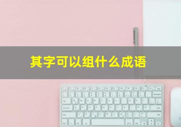 其字可以组什么成语