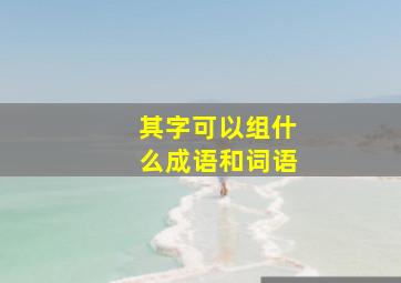 其字可以组什么成语和词语