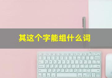 其这个字能组什么词