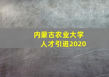 内蒙古农业大学人才引进2020