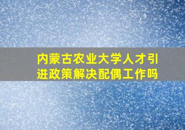 内蒙古农业大学人才引进政策解决配偶工作吗