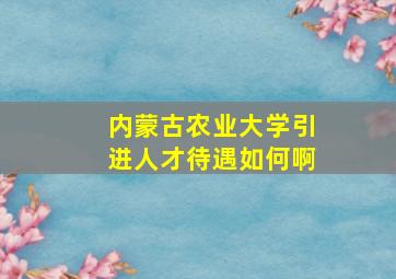 内蒙古农业大学引进人才待遇如何啊