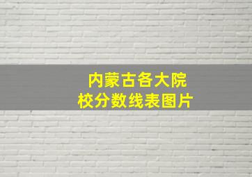 内蒙古各大院校分数线表图片