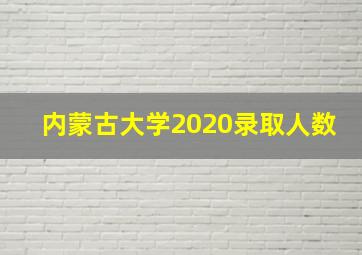 内蒙古大学2020录取人数