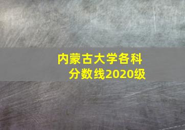 内蒙古大学各科分数线2020级