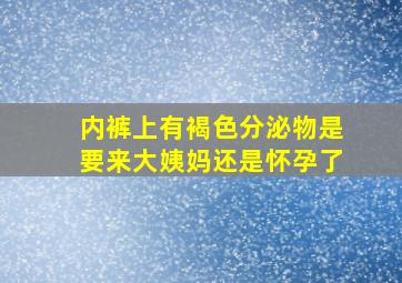 内裤上有褐色分泌物是要来大姨妈还是怀孕了