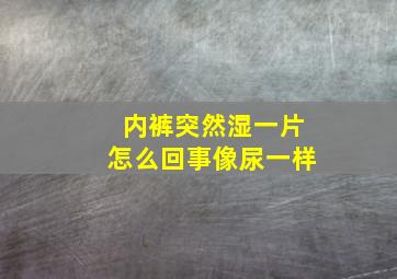 内裤突然湿一片怎么回事像尿一样