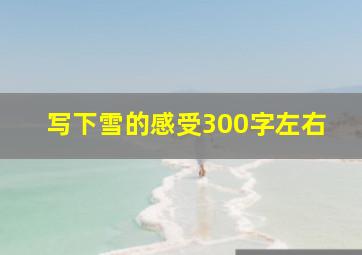 写下雪的感受300字左右