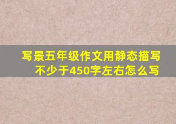 写景五年级作文用静态描写不少于450字左右怎么写