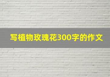 写植物玫瑰花300字的作文