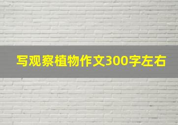 写观察植物作文300字左右