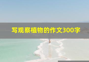 写观察植物的作文300字