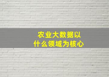 农业大数据以什么领域为核心