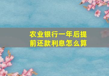 农业银行一年后提前还款利息怎么算