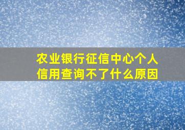 农业银行征信中心个人信用查询不了什么原因