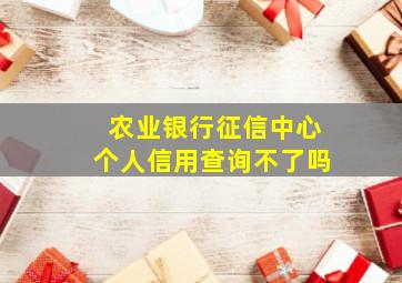 农业银行征信中心个人信用查询不了吗