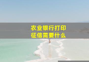 农业银行打印征信需要什么