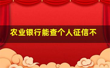 农业银行能查个人征信不