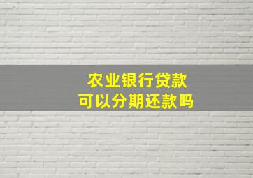 农业银行贷款可以分期还款吗