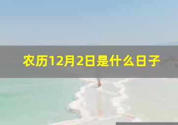 农历12月2日是什么日子