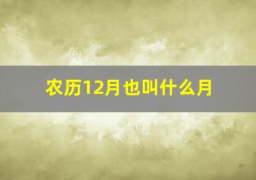 农历12月也叫什么月