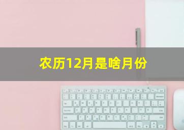 农历12月是啥月份