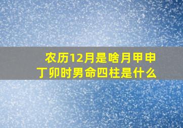 农历12月是啥月甲申丁卯时男命四柱是什么