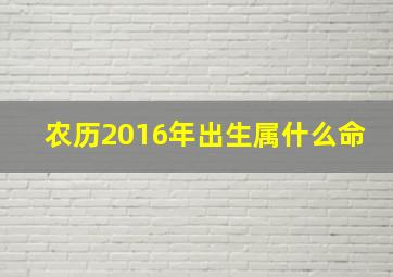 农历2016年出生属什么命