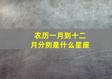 农历一月到十二月分别是什么星座