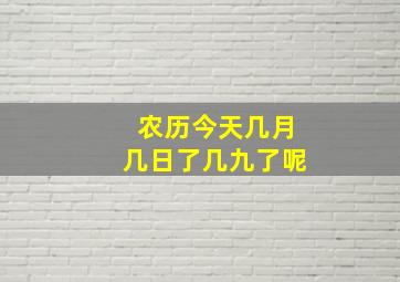 农历今天几月几日了几九了呢