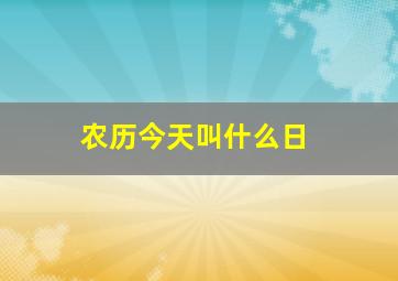 农历今天叫什么日