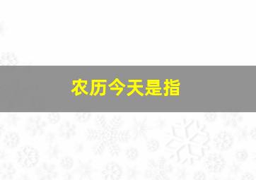 农历今天是指